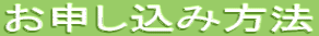 ���\�����ݕ��@